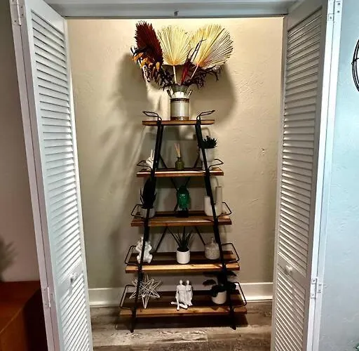 Apartment Boho Near Tu/dt/cherry St/expo Center Tulsa